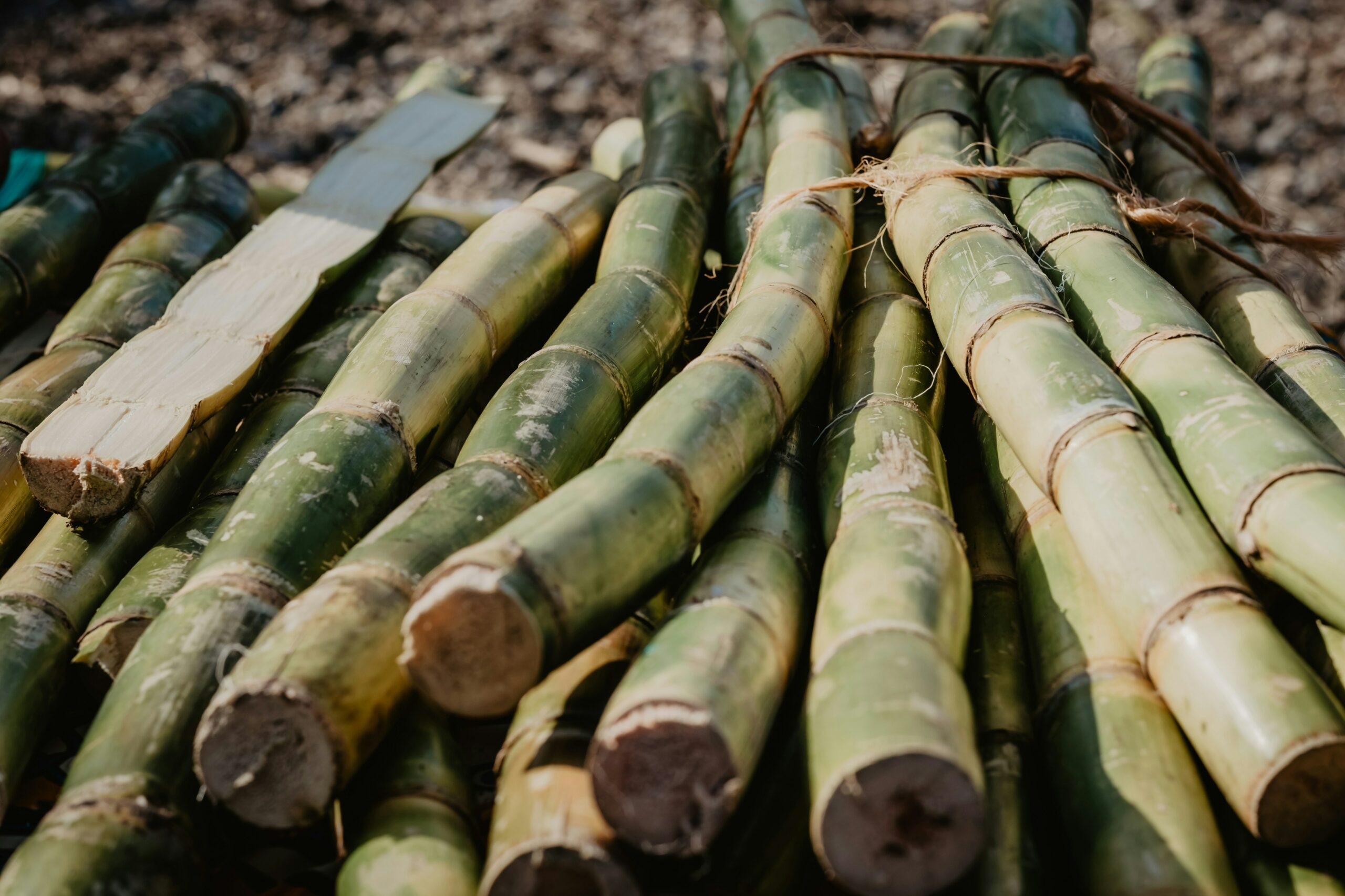 Comment est fait le rhum agricole ?
