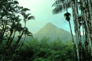 Martinique 03