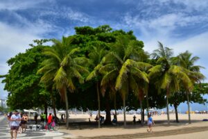 Fetes martinique 02