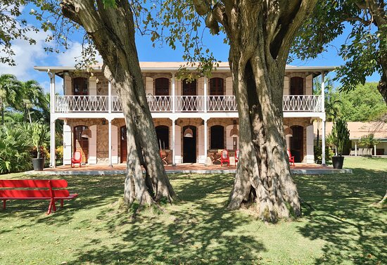 Distillerie du Simon : Histoire et traditions du rhum agricole martiniquais