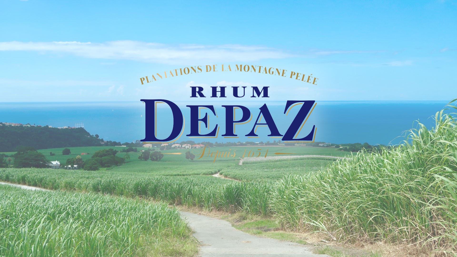 5 Maîtres Distillateurs Légendaires du Rhum Agricole